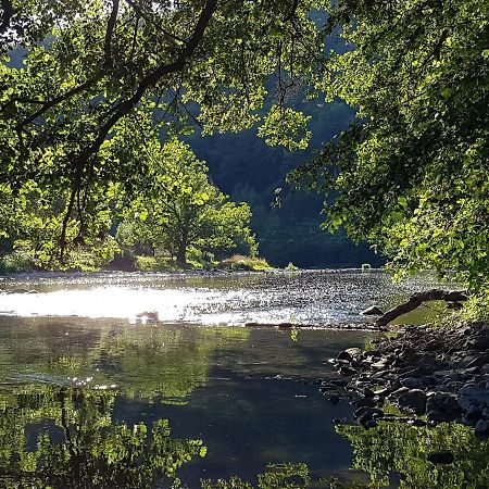 Gite Les Roseaux De Baillamont Exteriér fotografie